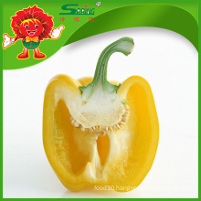 high quality yellow bell pepper colorful pepper on sale